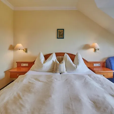 Hotel Pflegerbruecke 3*